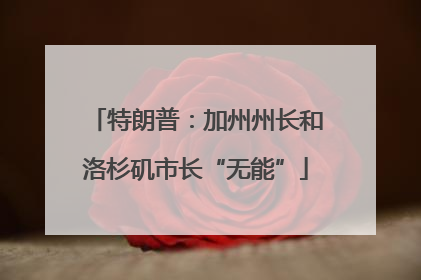特朗普：加州州长和洛杉矶市长“无能”