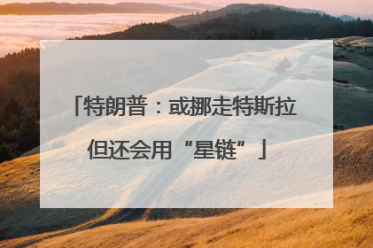 特朗普：或挪走特斯拉 但还会用“星链”