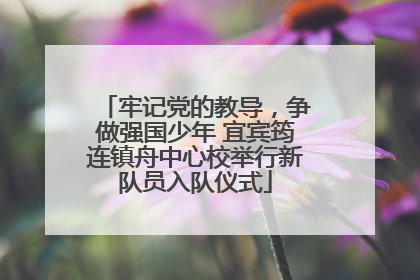 牢记党的教导，争做强国少年 宜宾筠连镇舟中心校举行新队员入队仪式
