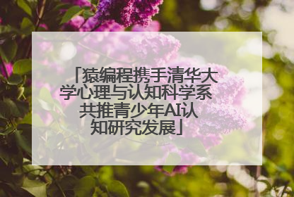 猿编程携手清华大学心理与认知科学系 共推青少年AI认知研究发展