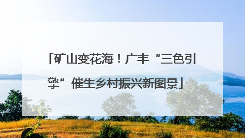 矿山变花海！广丰“三色引擎”催生乡村振兴新图景