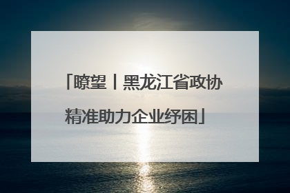 瞭望丨黑龙江省政协精准助力企业纾困