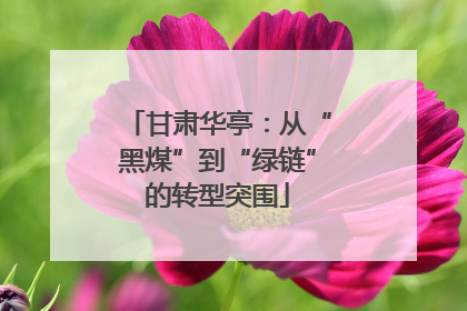 甘肃华亭：从“黑煤”到“绿链”的转型突围