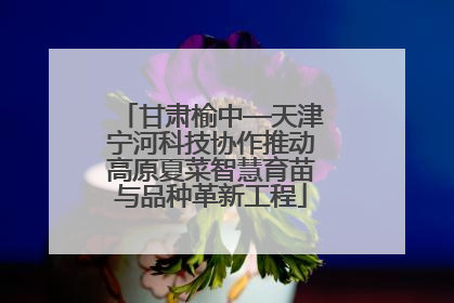 甘肃榆中—天津宁河科技协作推动高原夏菜智慧育苗与品种革新工程