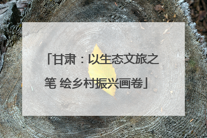 甘肃：以生态文旅之笔 绘乡村振兴画卷