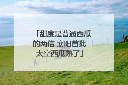 甜度是普通西瓜的两倍 襄阳首批太空西瓜熟了