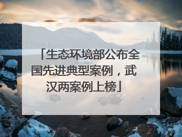 生态环境部公布全国先进典型案例，武汉两案例上榜