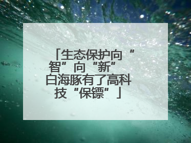 生态保护向“智”向“新” 白海豚有了高科技“保镖”