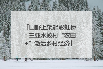田野上架起彩虹桥：三亚水蛟村“农田+”激活乡村经济