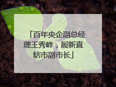 百年央企副总经理王秀峰，履新直辖市副市长