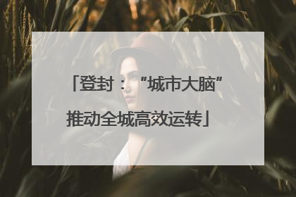 登封：“城市大脑”推动全城高效运转