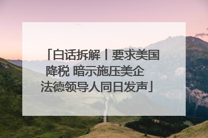 白话拆解丨要求美国降税 暗示施压美企 法德领导人同日发声