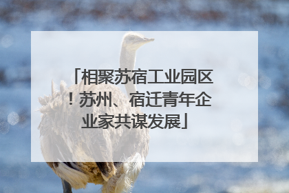 相聚苏宿工业园区！苏州、宿迁青年企业家共谋发展