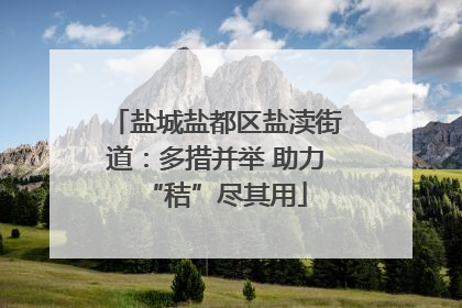 盐城盐都区盐渎街道：多措并举 助力“秸”尽其用