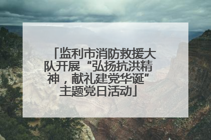 监利市消防救援大队开展“弘扬抗洪精神，献礼建党华诞”主题党日活动