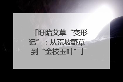盱眙艾草“变形记”：从荒坡野草到“金枝玉叶”