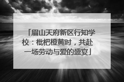 眉山天府新区行知学校：枇杷橙黄时，共赴一场劳动与爱的盛宴