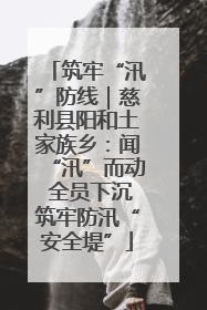 筑牢“汛”防线｜慈利县阳和土家族乡：闻“汛”而动 全员下沉筑牢防汛“安全堤”