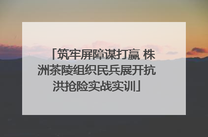 筑牢屏障谋打赢 株洲茶陵组织民兵展开抗洪抢险实战实训