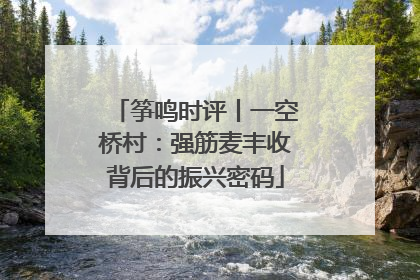 筝鸣时评丨一空桥村：强筋麦丰收背后的振兴密码