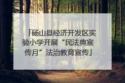 砀山县经济开发区实验小学开展“民法典宣传月”法治教育宣传