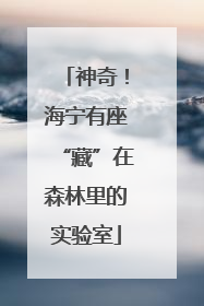 神奇！海宁有座“藏”在森林里的实验室