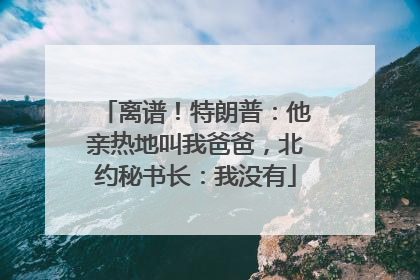 离谱！特朗普：他亲热地叫我爸爸，北约秘书长：我没有