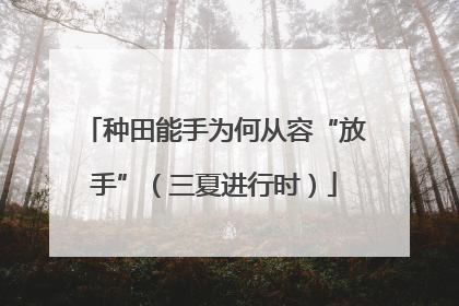 种田能手为何从容“放手”（三夏进行时）