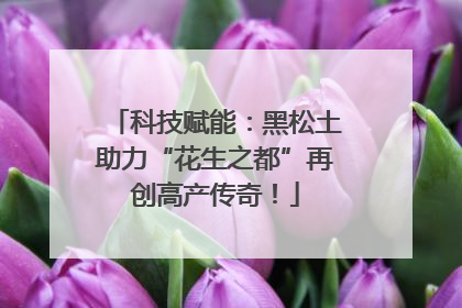 科技赋能：黑松土助力“花生之都”再创高产传奇！