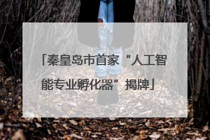 秦皇岛市首家“人工智能专业孵化器”揭牌