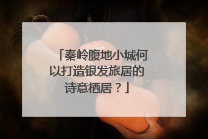秦岭腹地小城何以打造银发旅居的诗意栖居？