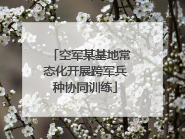 空军某基地常态化开展跨军兵种协同训练