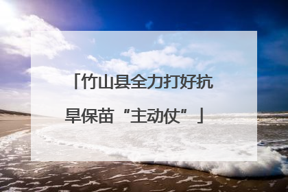 竹山县全力打好抗旱保苗“主动仗”