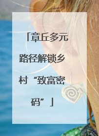 章丘多元路径解锁乡村“致富密码”