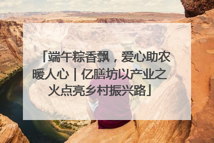 端午粽香飘，爱心助农暖人心｜亿膳坊以产业之火点亮乡村振兴路