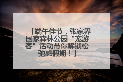 端午佳节，张家界国家森林公园“宠游客”活动带你解锁松弛感假期！