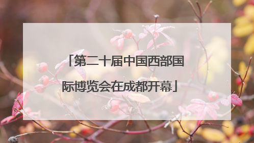 第二十届中国西部国际博览会在成都开幕