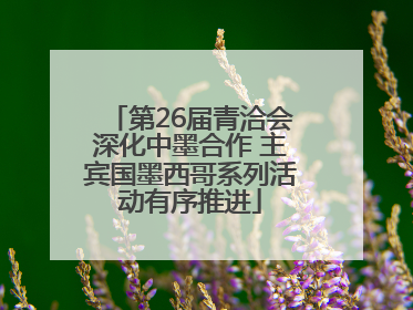 第26届青洽会深化中墨合作 主宾国墨西哥系列活动有序推进
