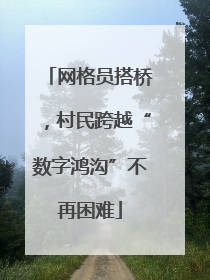 网格员搭桥，村民跨越“数字鸿沟”不再困难