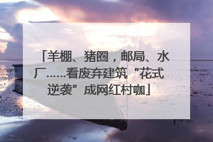 羊棚、猪圈，邮局、水厂……看废弃建筑“花式逆袭”成网红村咖