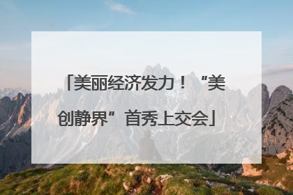 美丽经济发力！“美创静界”首秀上交会