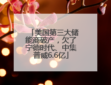 美国第三大储能商破产，欠了宁德时代、中集普威6.6亿