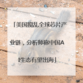 美国搅乱全球芯片产业链，分析师称中国AI生态有望出海