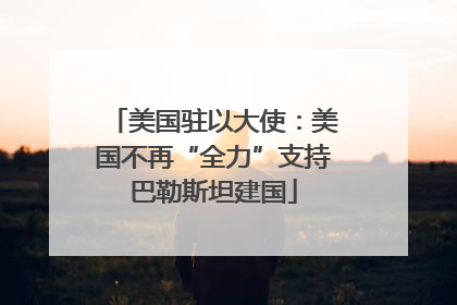 美国驻以大使：美国不再“全力”支持巴勒斯坦建国