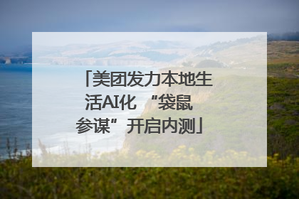 美团发力本地生活AI化 “袋鼠参谋”开启内测
