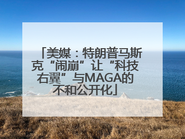 美媒：特朗普马斯克“闹崩”让“科技右翼”与MAGA的不和公开化