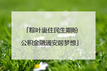 粽叶裹住民生期盼 公积金融通安居梦想