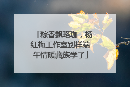 粽香飘珞珈，杨红梅工作室别样端午情暖藏族学子