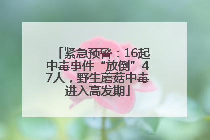 紧急预警：16起中毒事件“放倒”47人，野生蘑菇中毒进入高发期