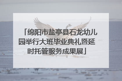 绵阳市盐亭县石龙幼儿园举行大班毕业典礼暨延时托管服务成果展